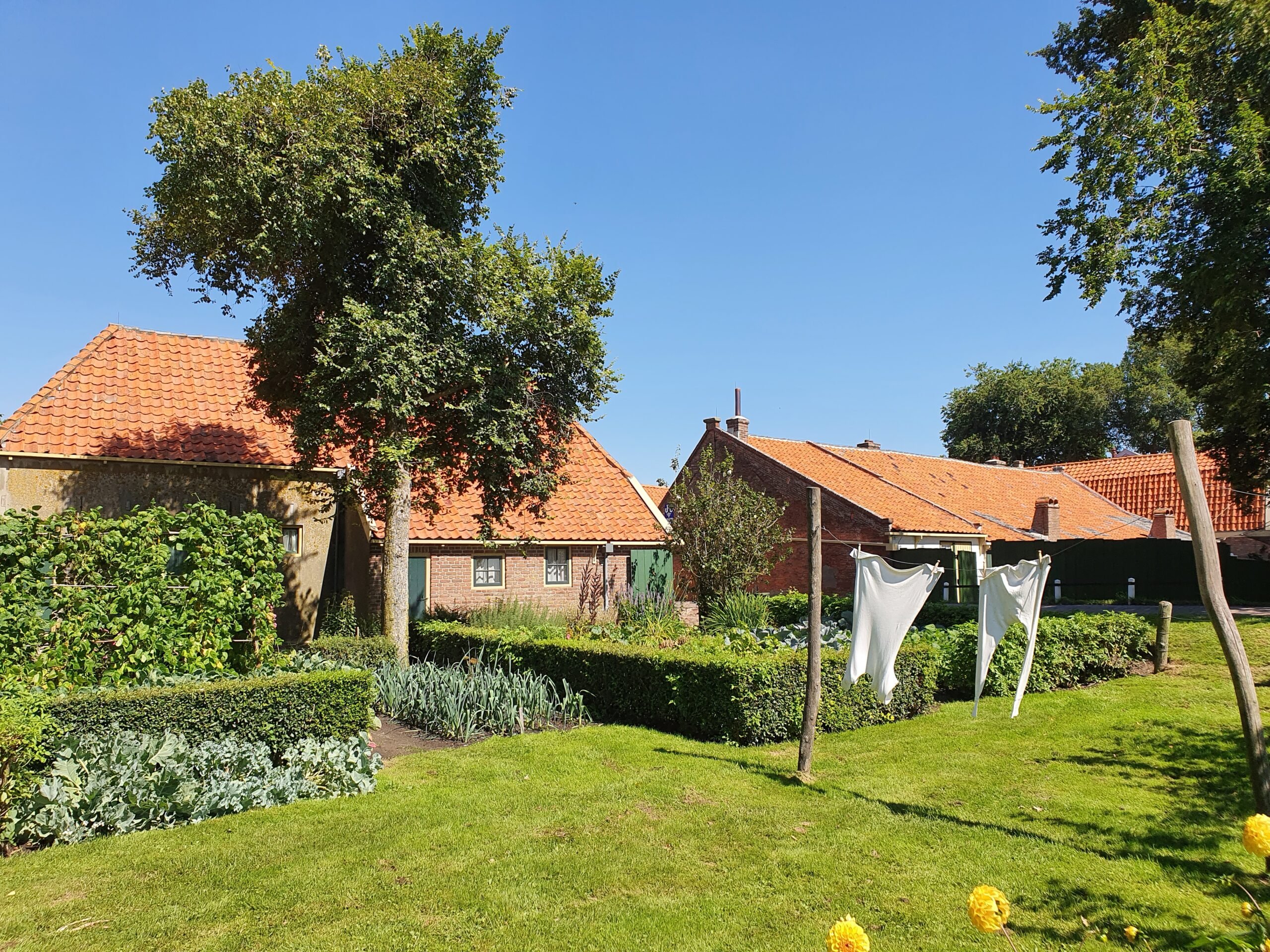 Een magische kruidentuin aanleggen