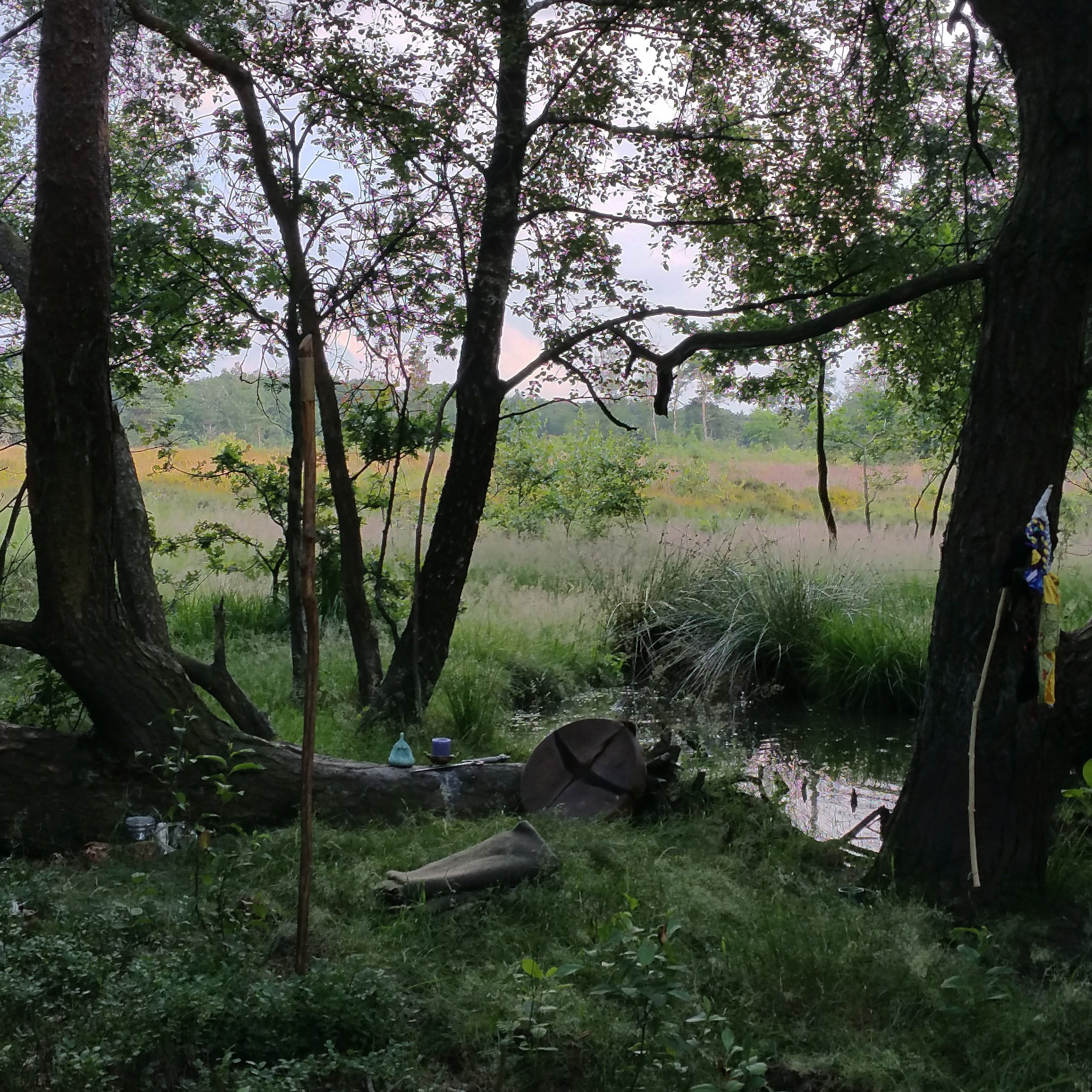 Natuurwezens