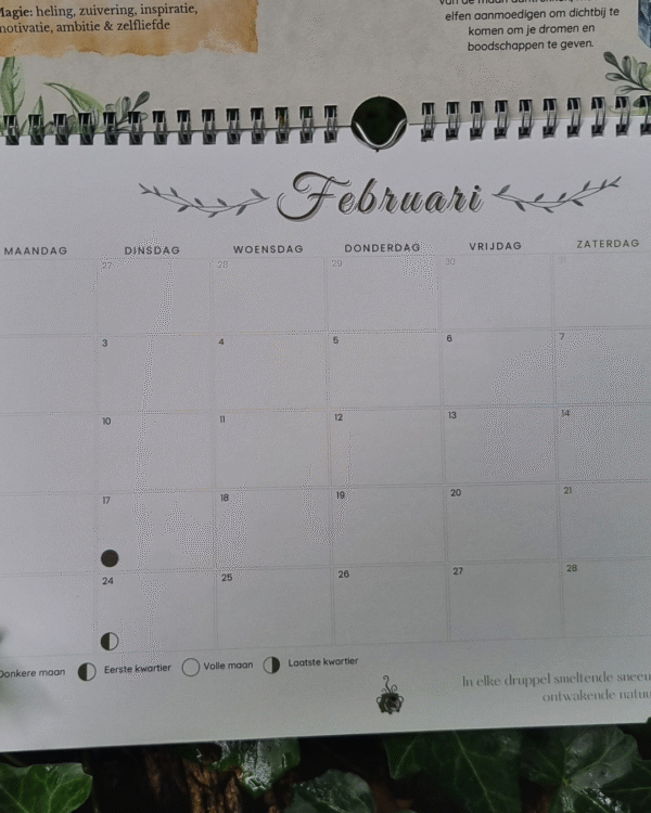Traditionele Hekserij jaarkalender 2026 - Afbeelding 4